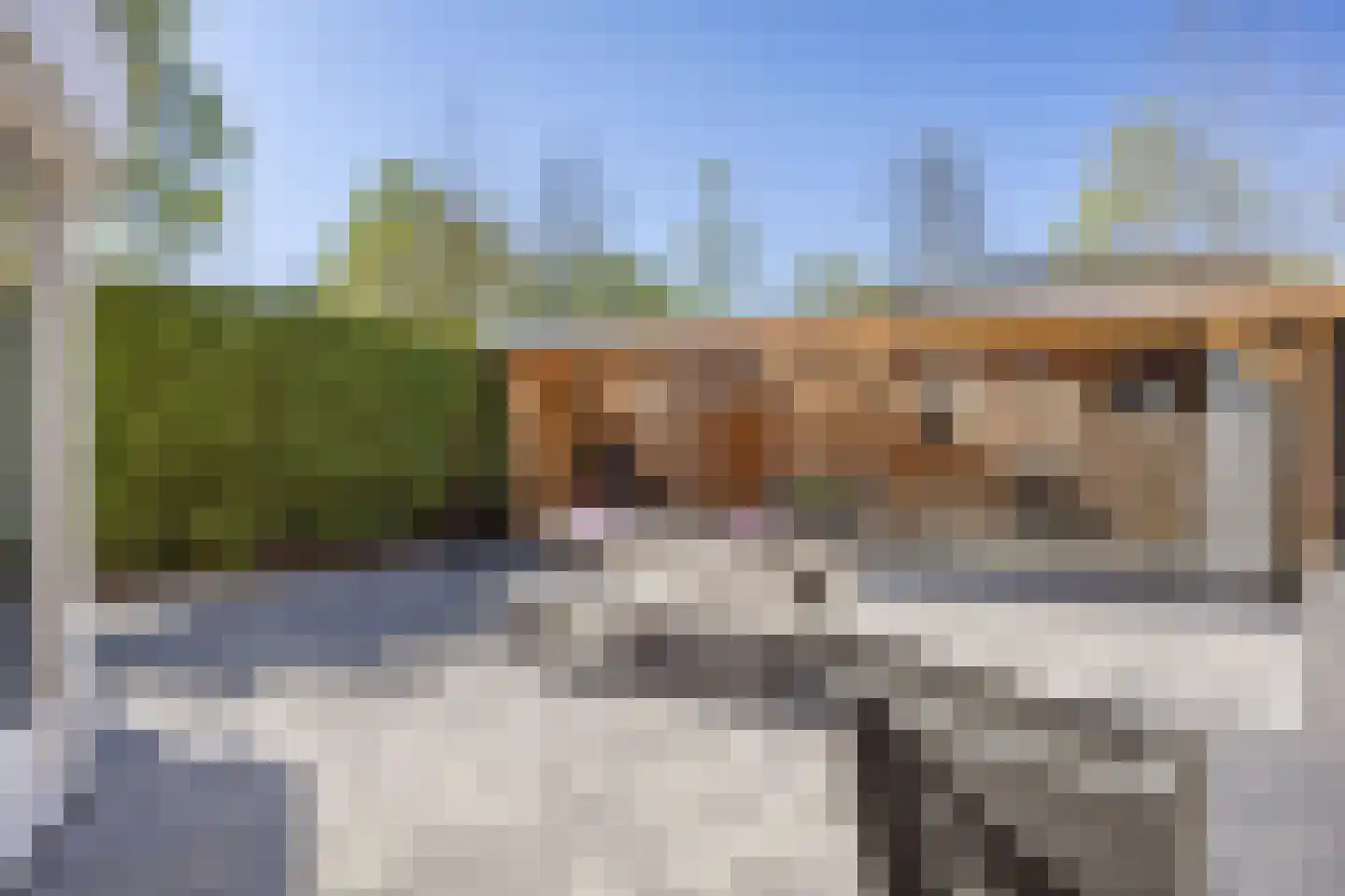 Salland 43 Assen thumbnail 49