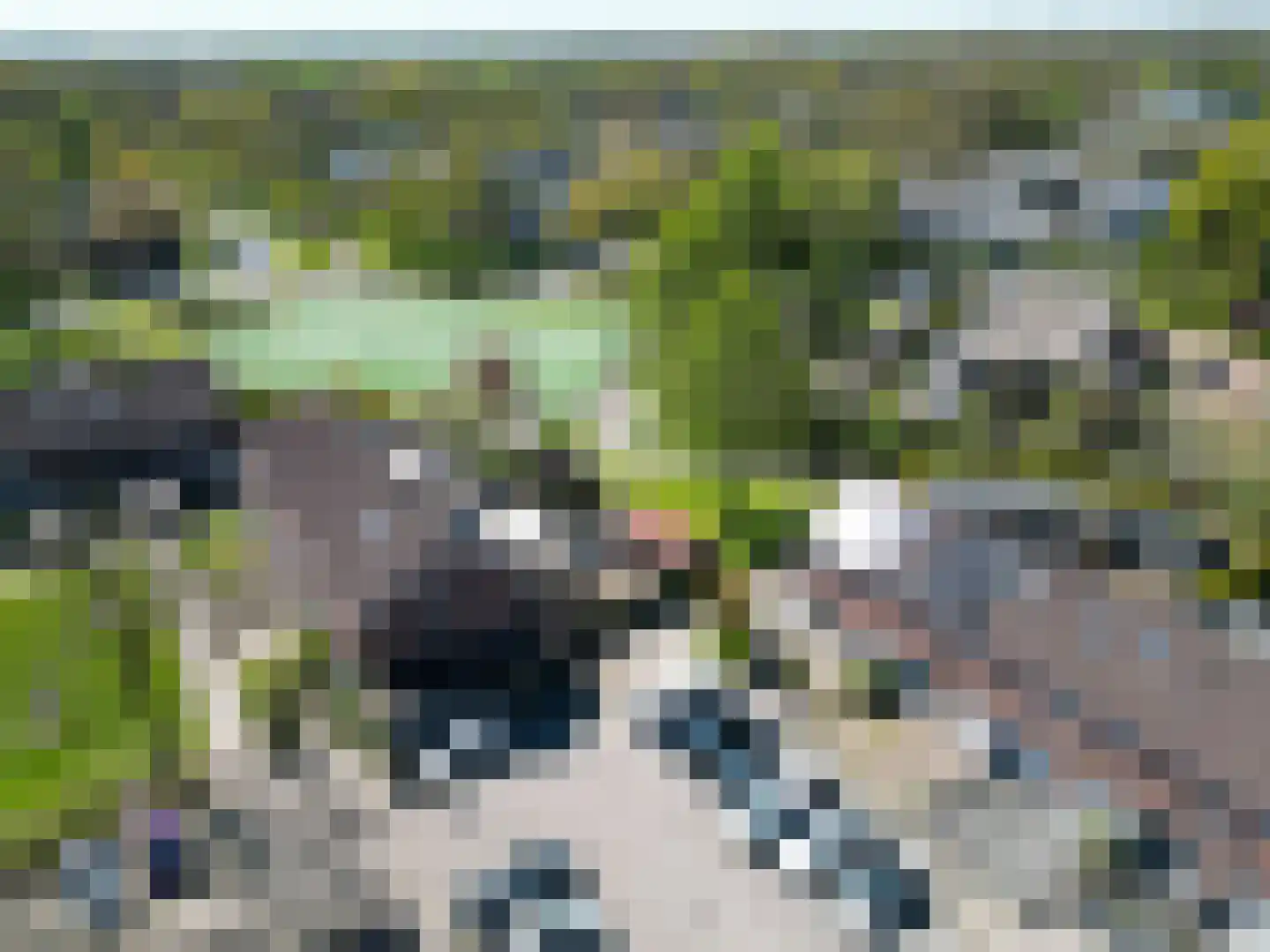 Salland 43 Assen thumbnail 62