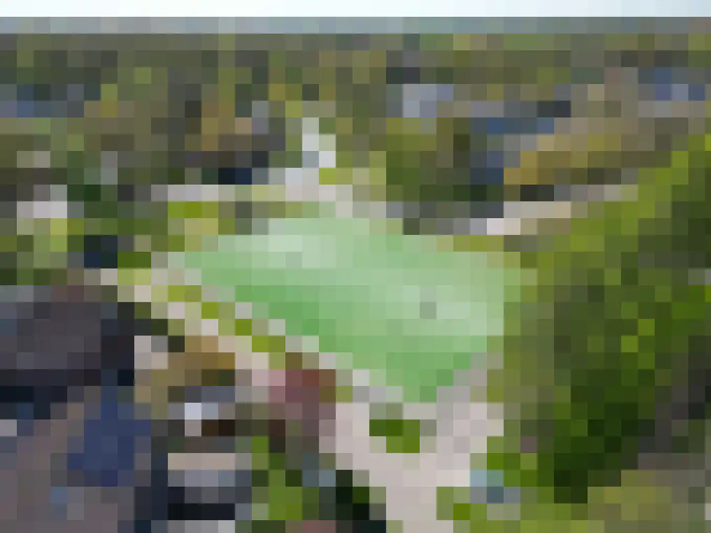 Salland 43 Assen thumbnail 63