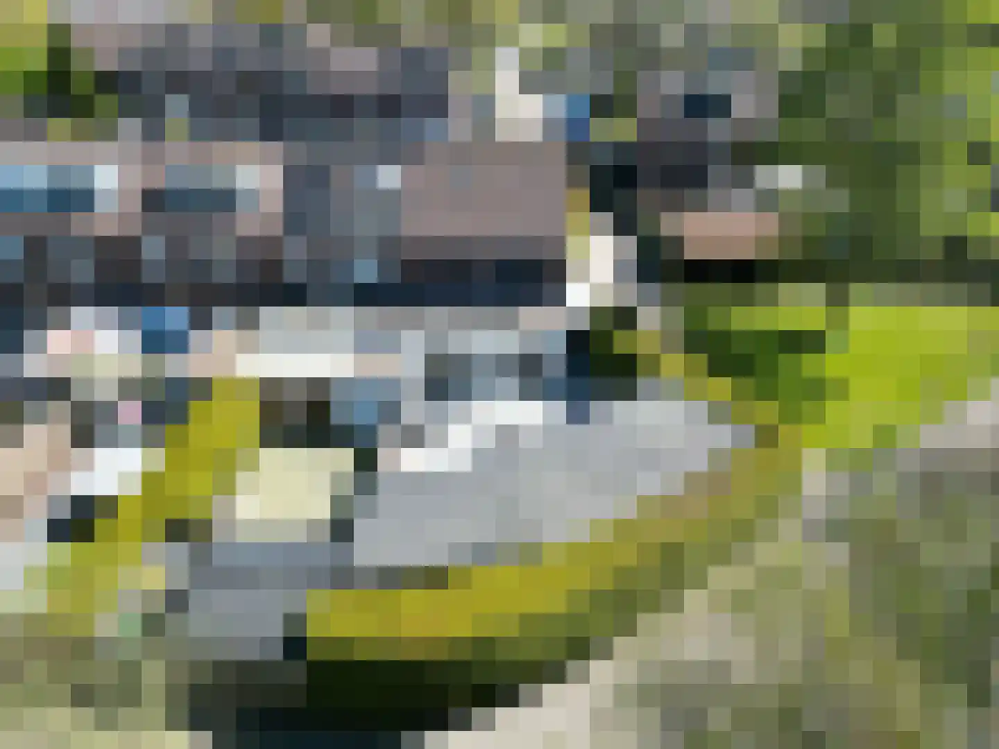 Salland 43 Assen thumbnail 65