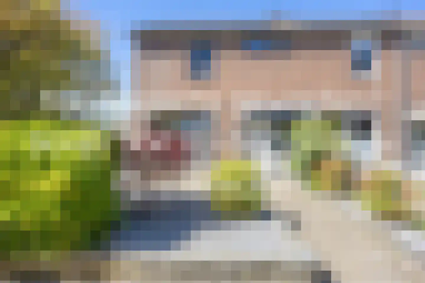 Salland 43 Assen thumbnail 9
