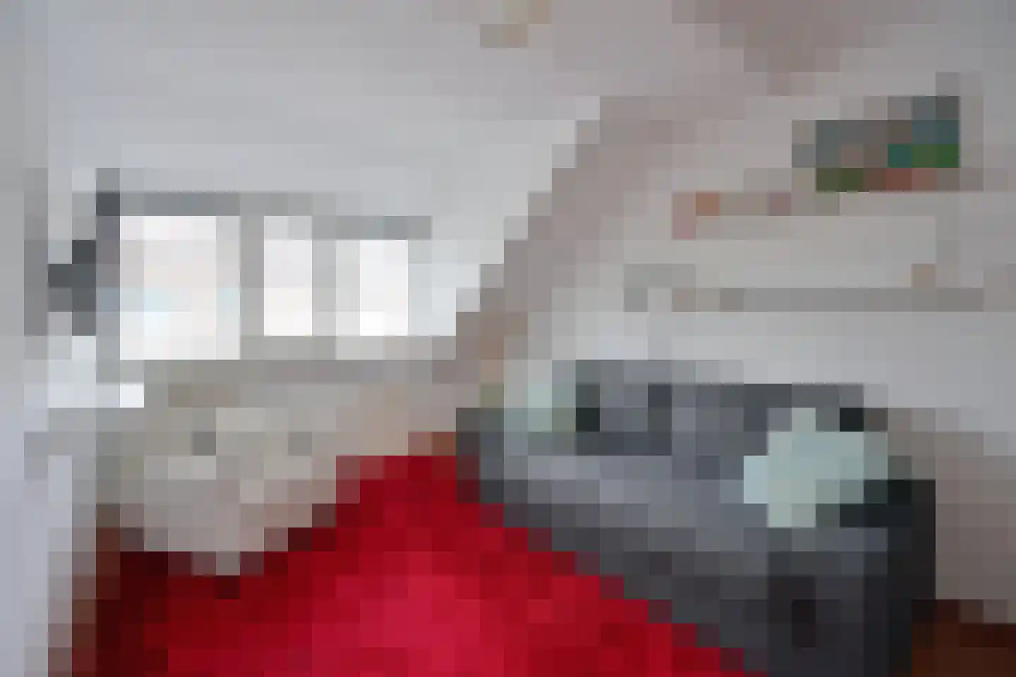 Salland 49 Huizen thumbnail 10