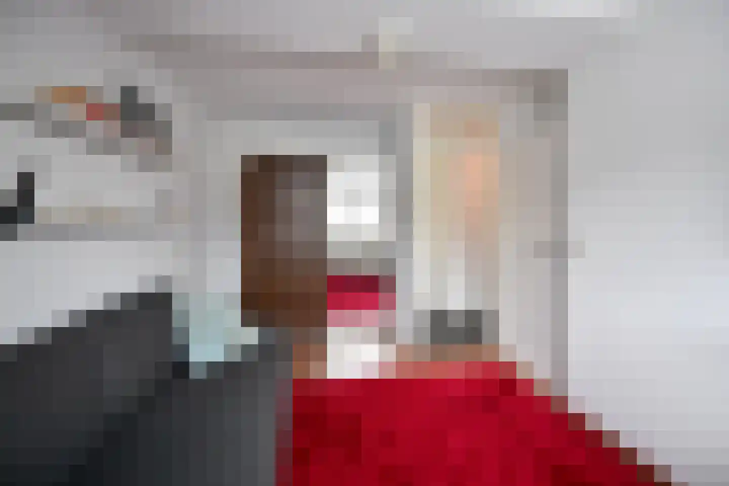 Salland 49 Huizen thumbnail 11