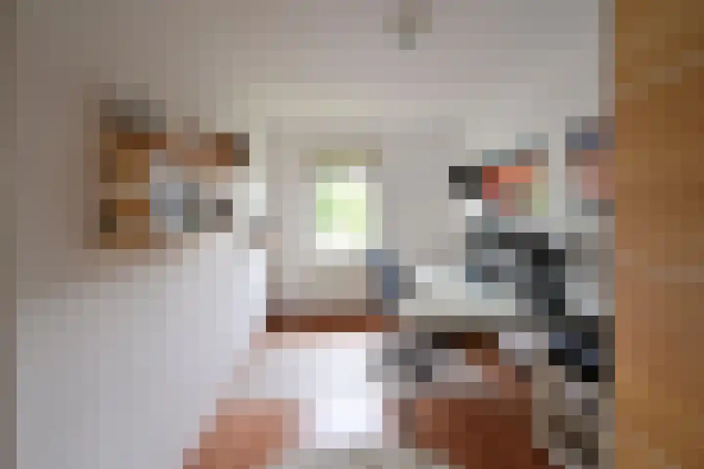 Salland 49 Huizen thumbnail 12
