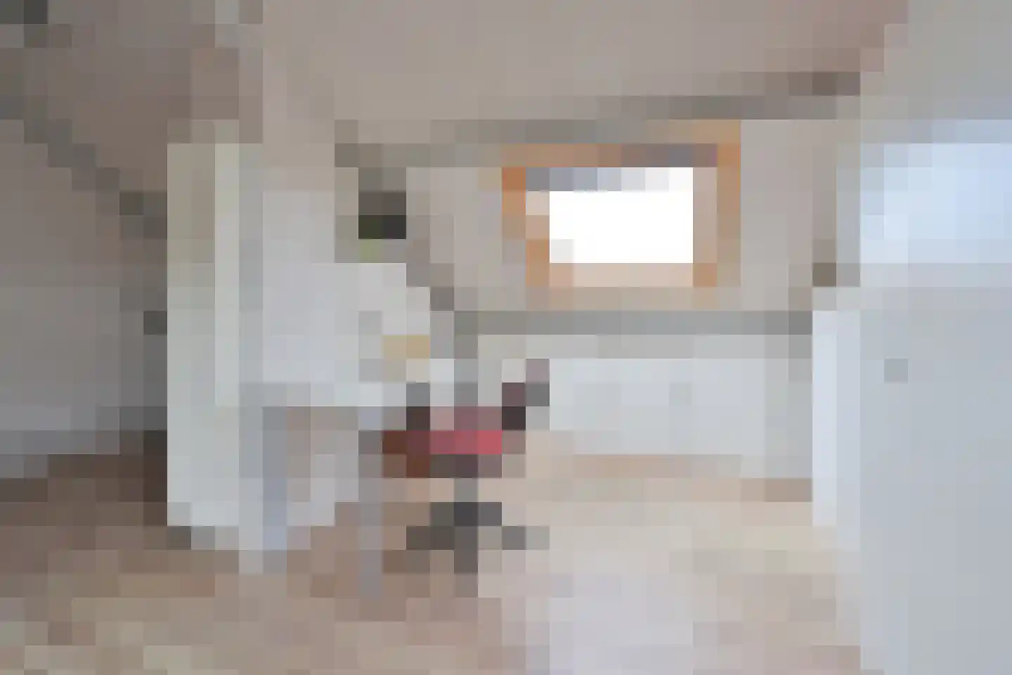 Salland 49 Huizen thumbnail 15