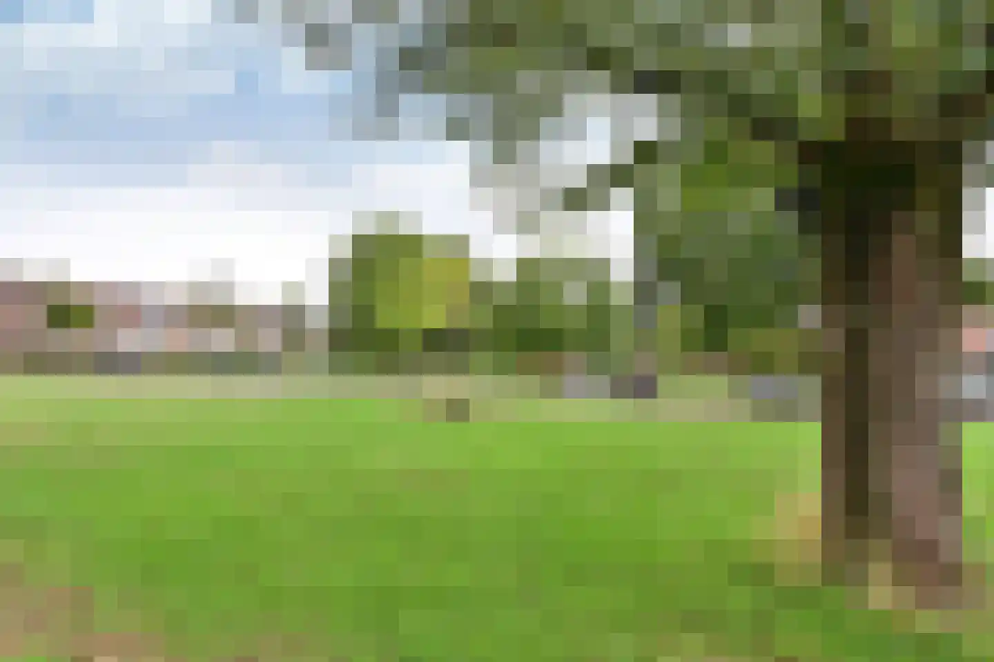Salland 49 Huizen thumbnail 21