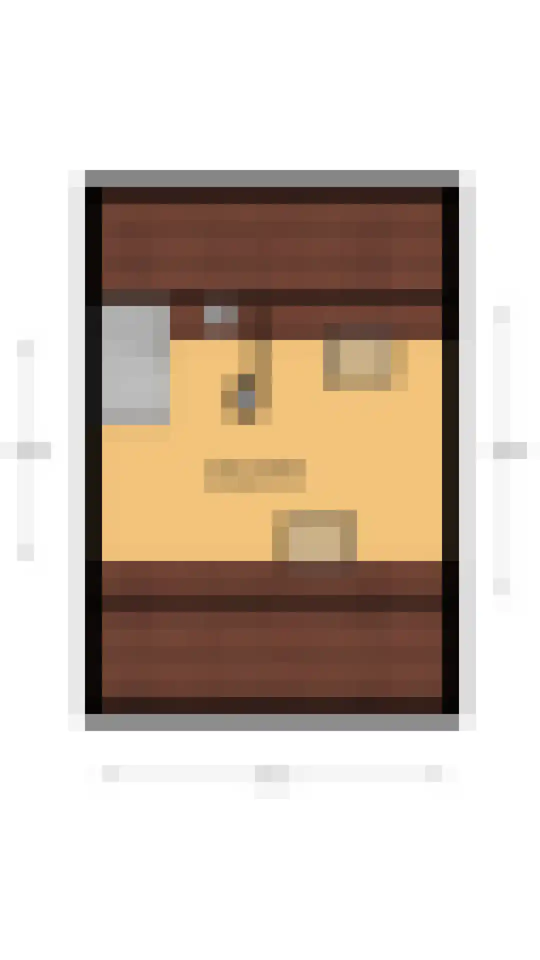 Salland 49 Huizen thumbnail 24