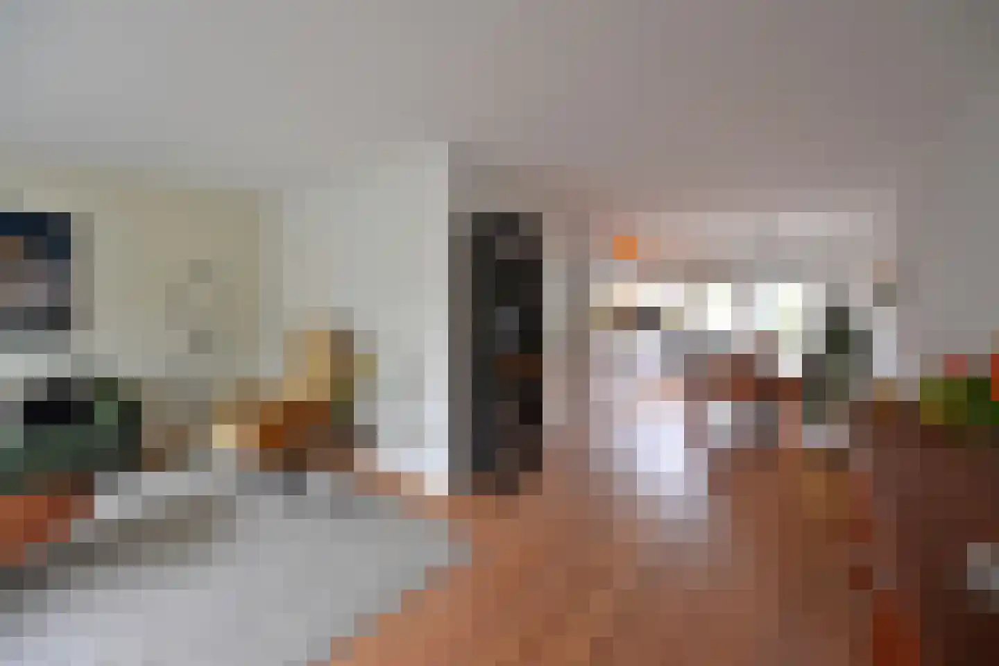 Salland 49 Huizen thumbnail 4