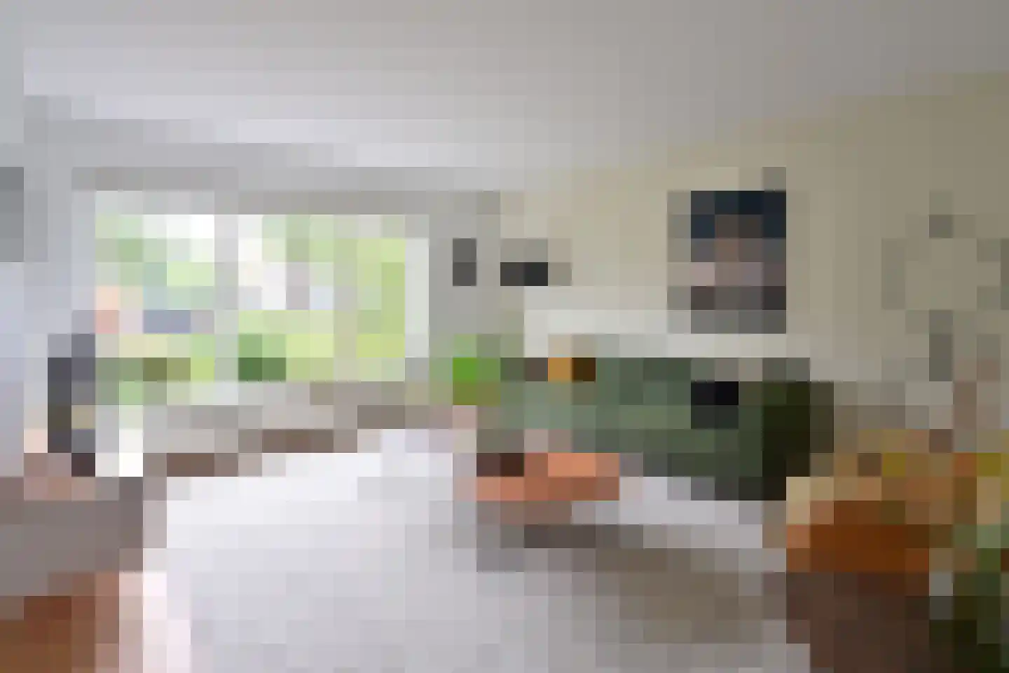 Salland 49 Huizen thumbnail 5