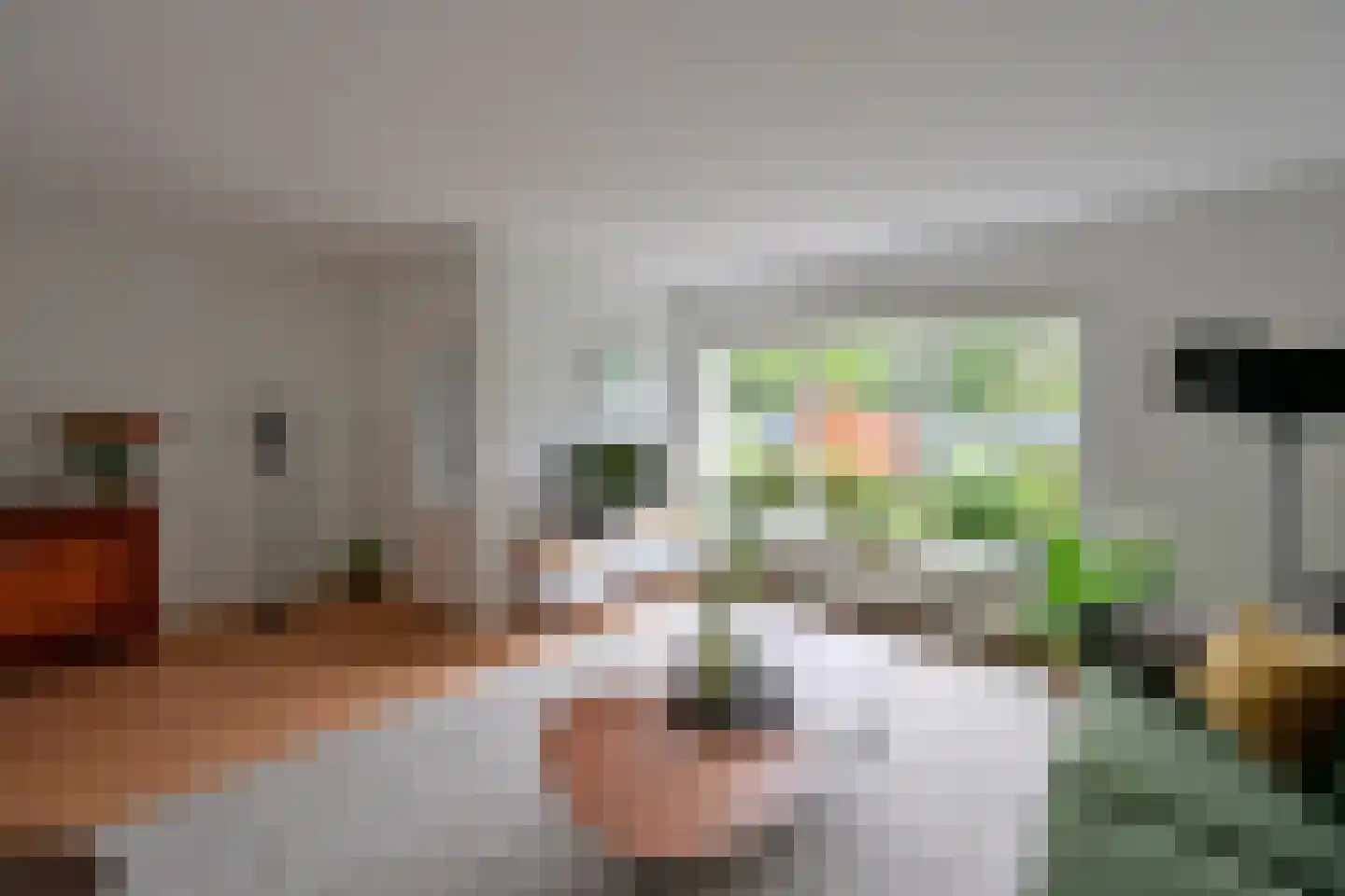 Salland 49 Huizen thumbnail 6