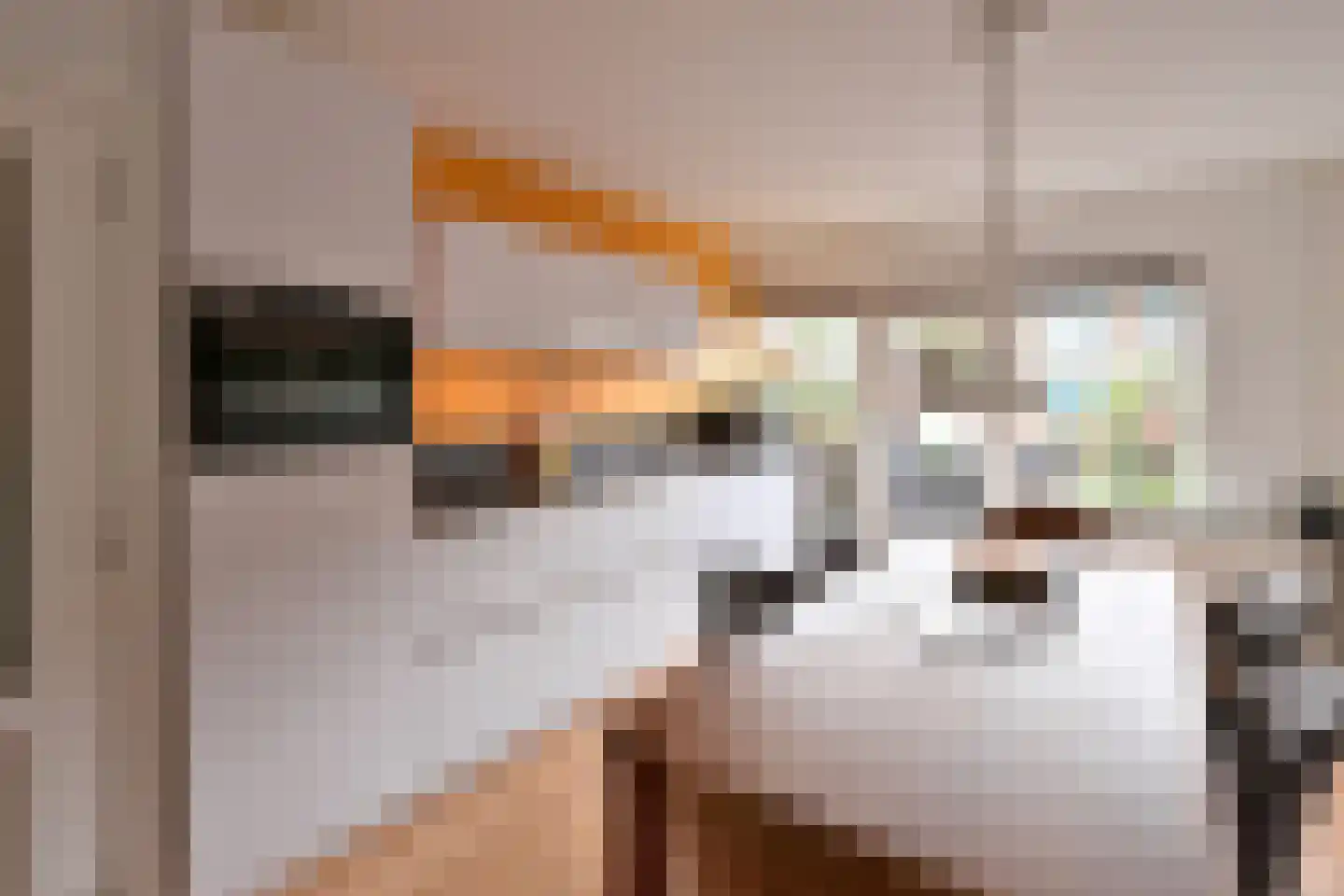 Salland 49 Huizen thumbnail 7
