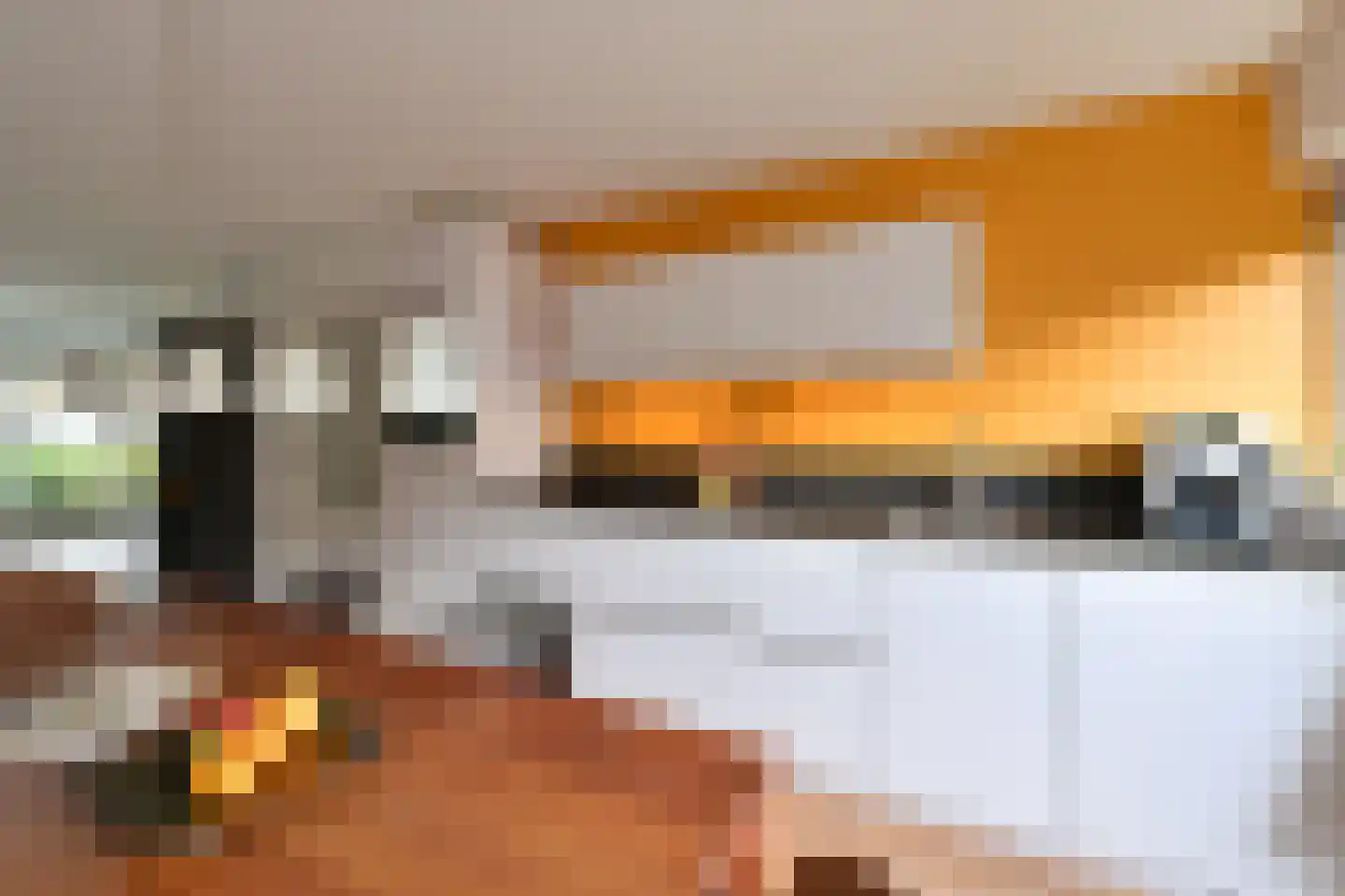 Salland 49 Huizen thumbnail 8