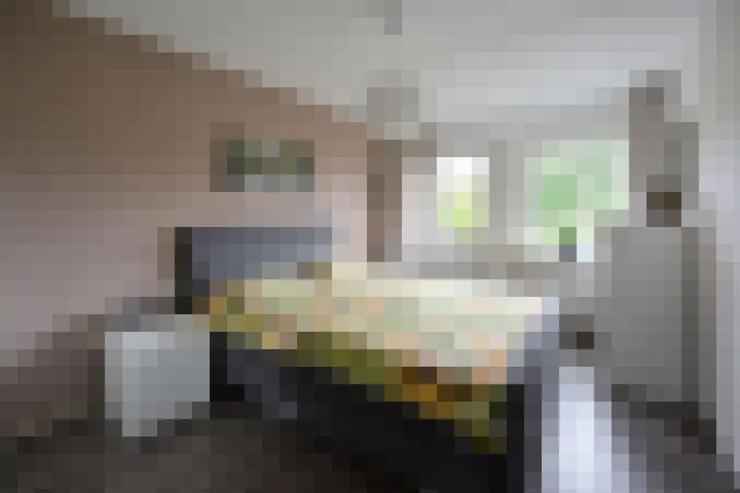 Salland 49 Huizen thumbnail 9