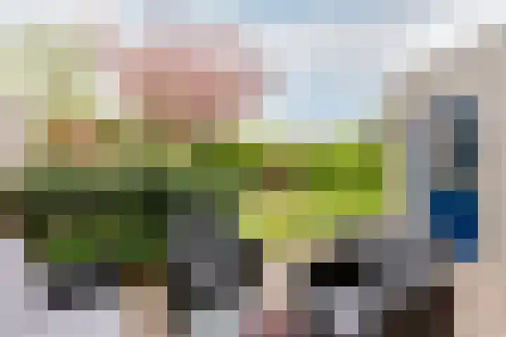 Salland 76 Lelystad thumbnail 37