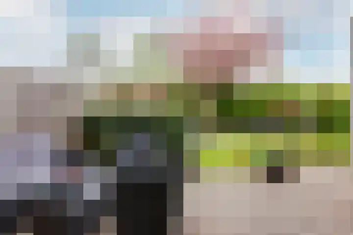 Salland 76 Lelystad thumbnail 39