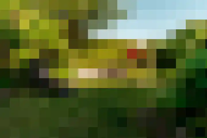Salland 76 Lelystad thumbnail 41