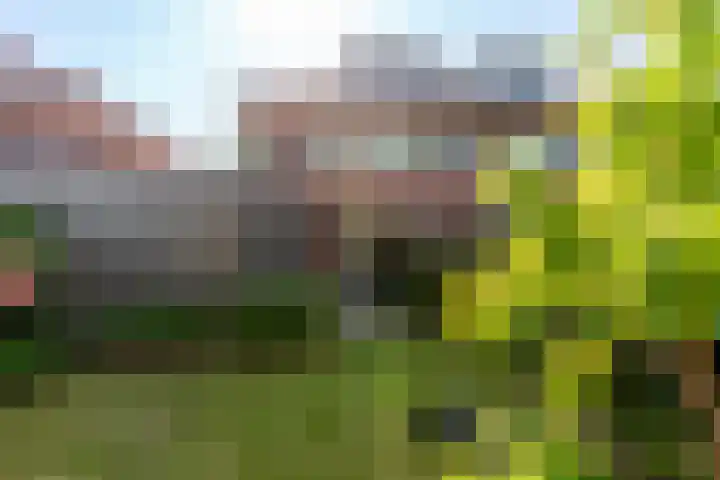 Salland 76 Lelystad thumbnail 43