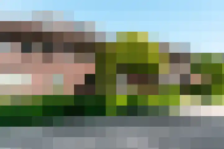 Salland 76 Lelystad thumbnail 48