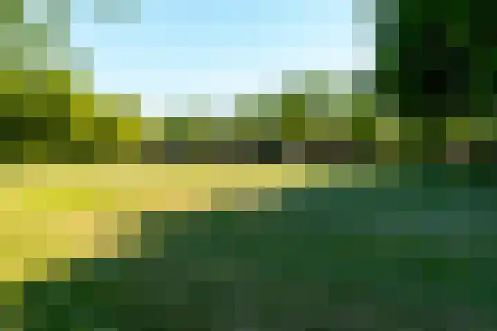 Salland 76 Lelystad thumbnail 50