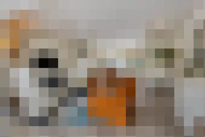 Salland 9 Purmerend thumbnail 11