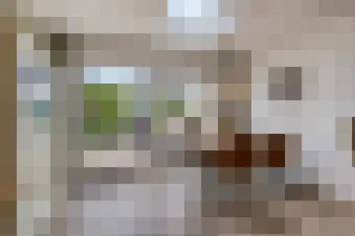 Salland 9 Purmerend thumbnail 16