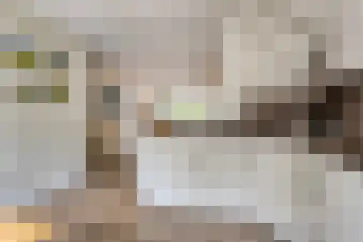Salland 9 Purmerend thumbnail 26