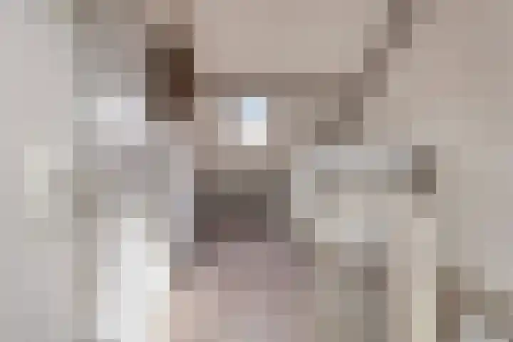 Salland 9 Purmerend thumbnail 34