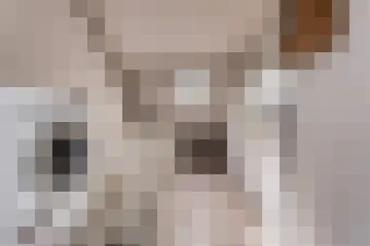 Salland 9 Purmerend thumbnail 35