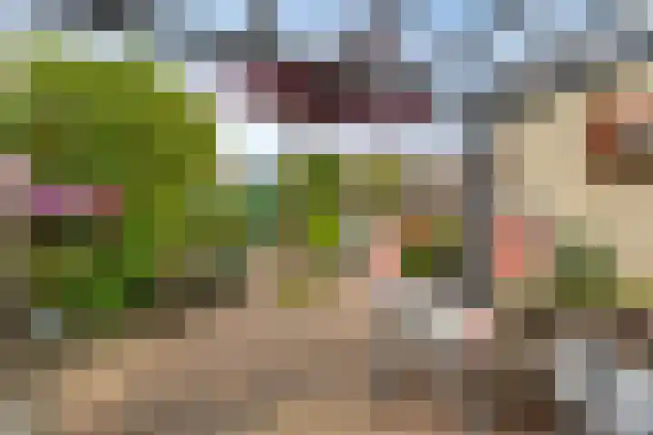 Salland 9 Purmerend thumbnail 38