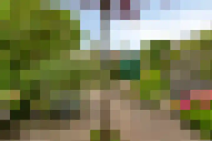 Salland 9 Purmerend thumbnail 39
