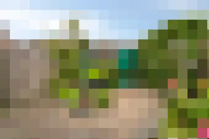 Salland 9 Purmerend thumbnail 42