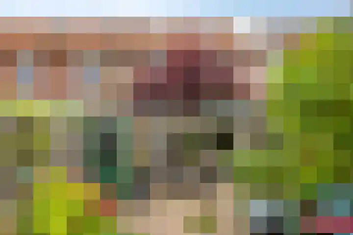 Salland 9 Purmerend thumbnail 45