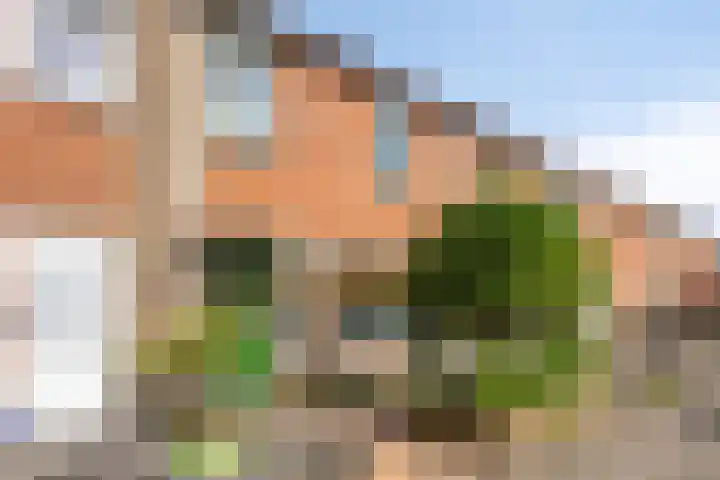 Salland 9 Purmerend thumbnail 6