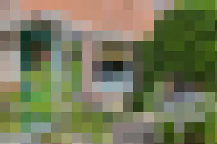 Salland 9 Purmerend thumbnail 7