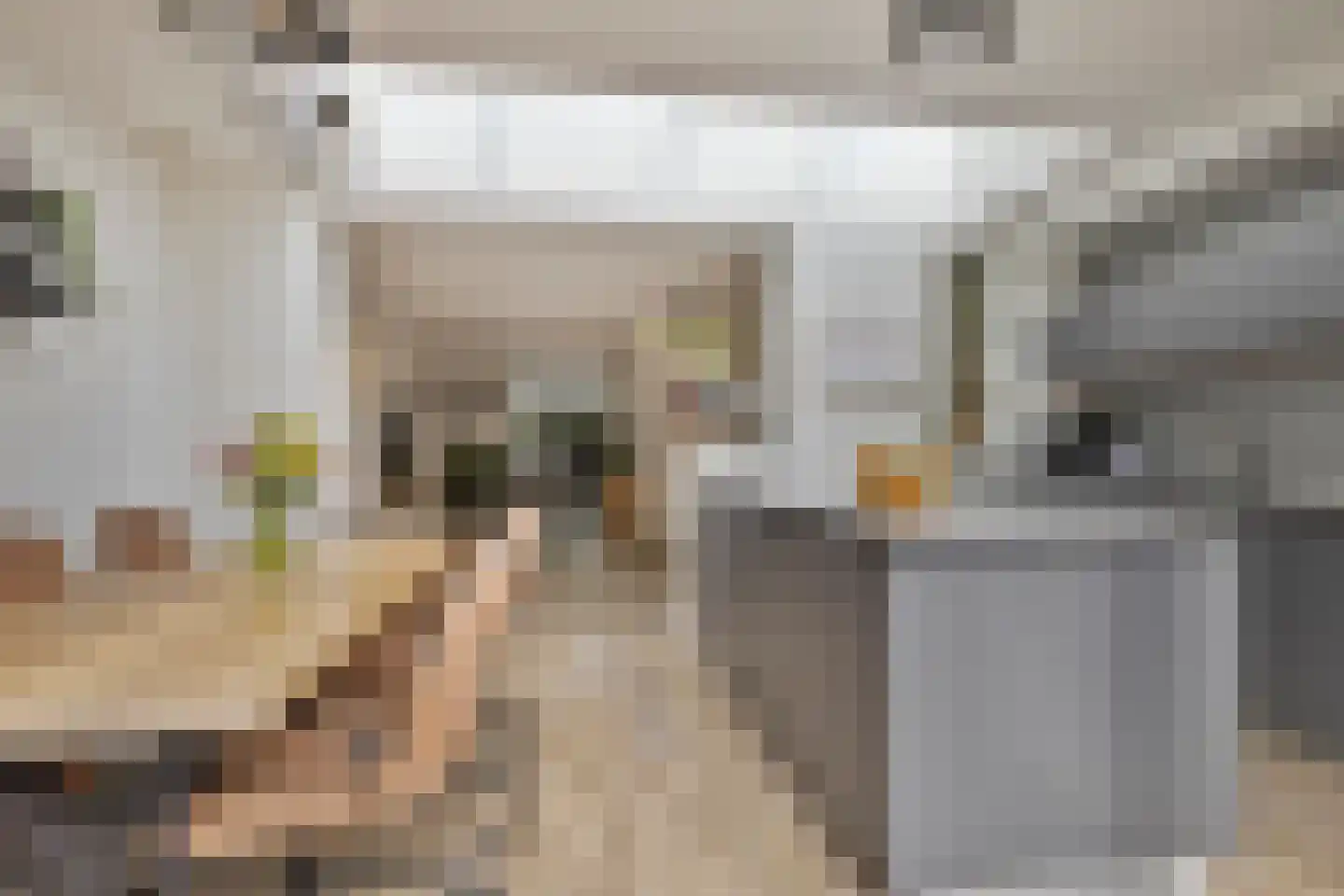 Sallandhof 12 Helmond thumbnail 20