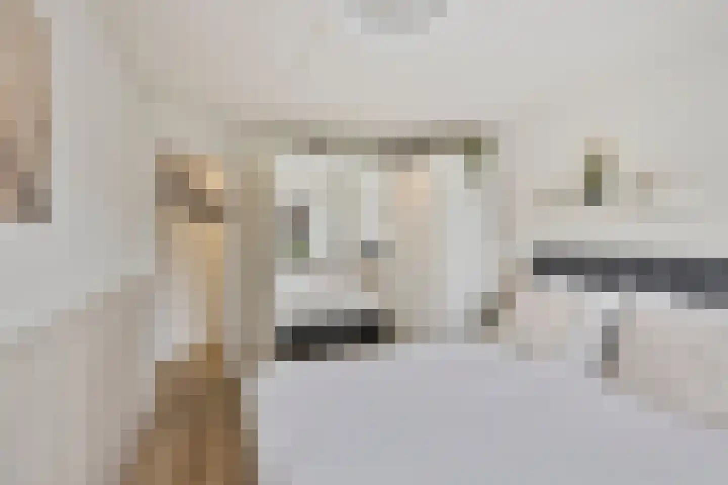 Sallandhof 12 Helmond thumbnail 24