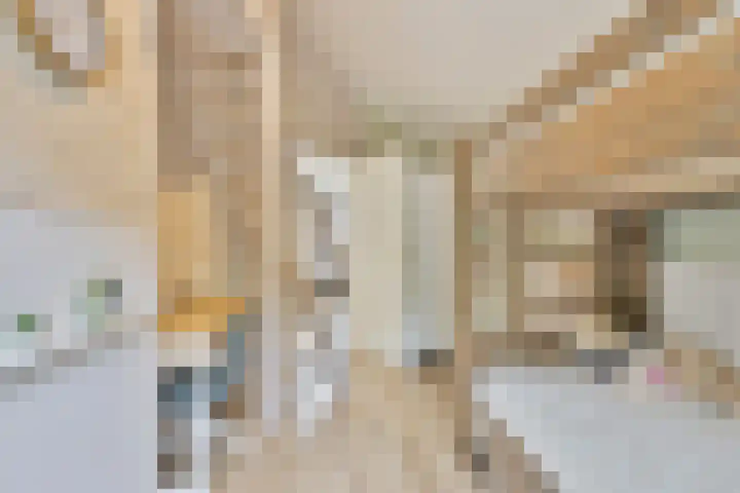 Sallandhof 12 Helmond thumbnail 27