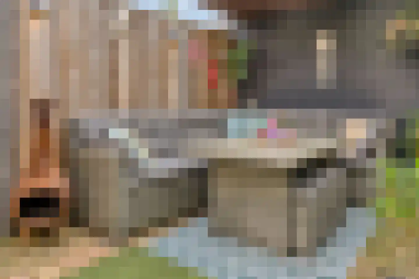 Sallandhof 12 Helmond thumbnail 34