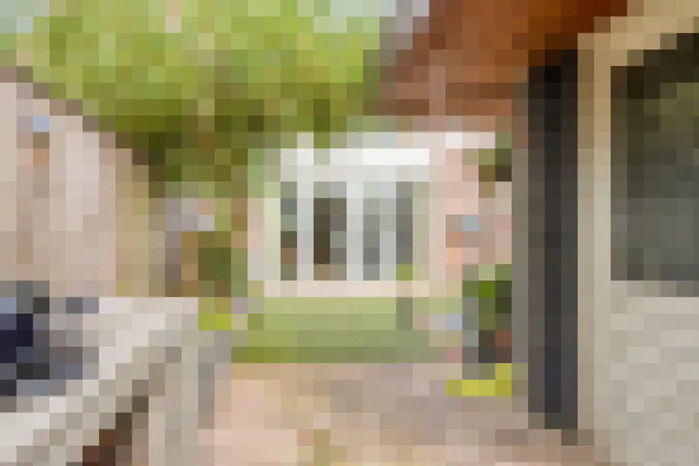 Sallandhof 12 Helmond thumbnail 35