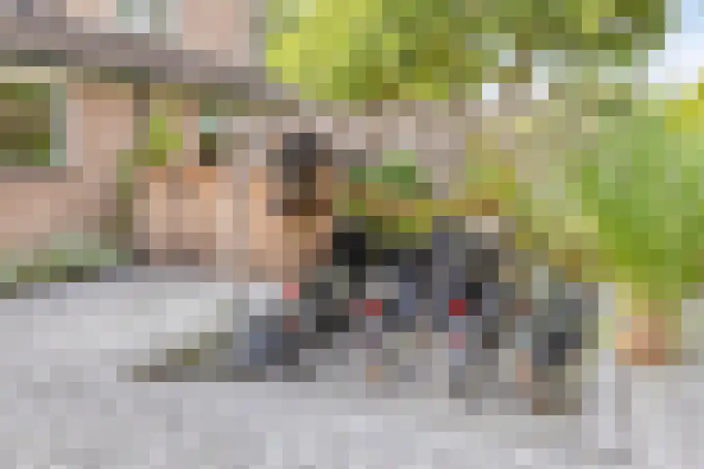 Sallandhof 12 Helmond thumbnail 9