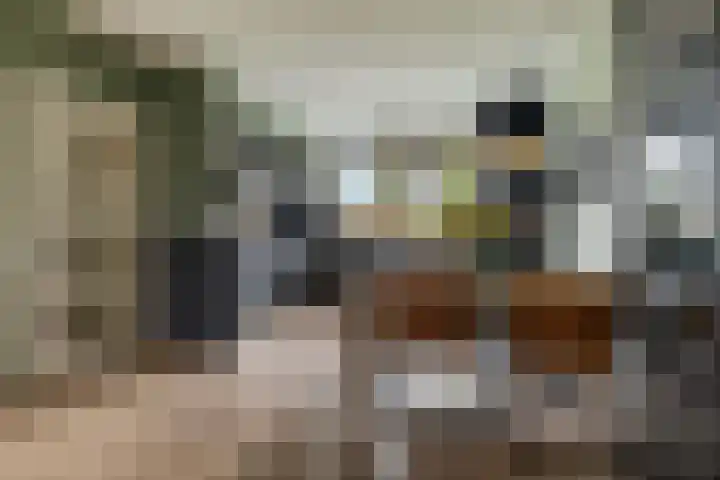 Sallandlaan 5 Veendam thumbnail 10
