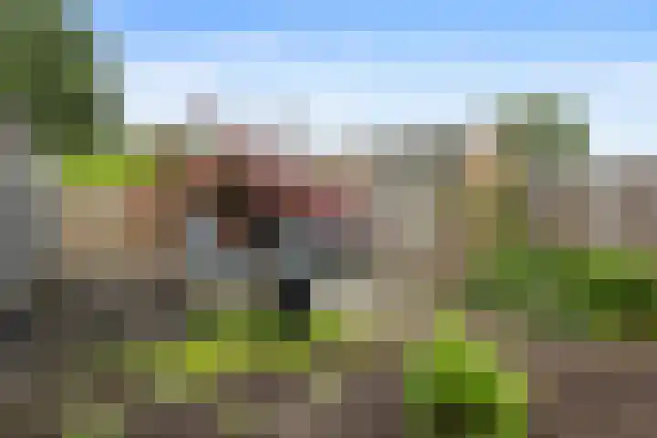 Sallandlaan 5 Veendam thumbnail 22