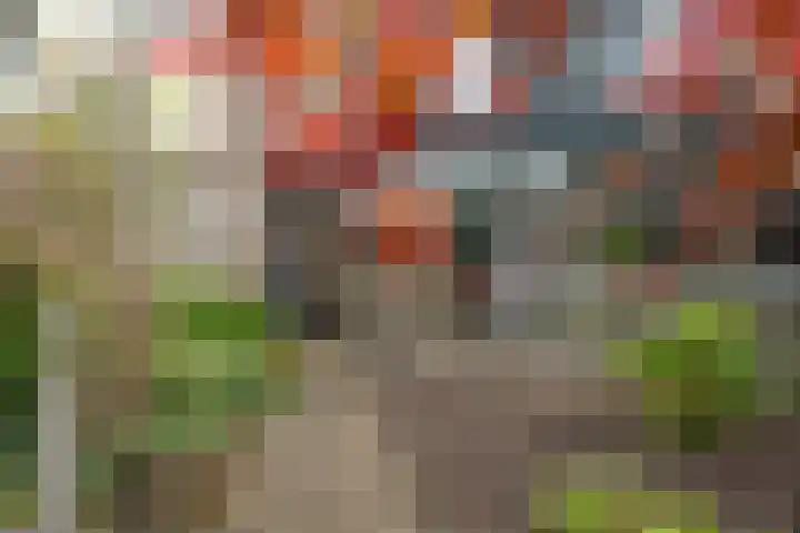 Sallandlaan 5 Veendam thumbnail 25