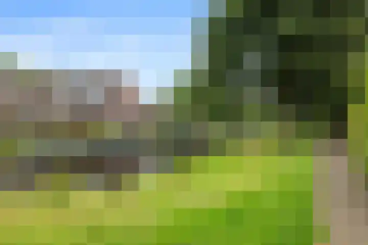 Sallandlaan 5 Veendam thumbnail 29