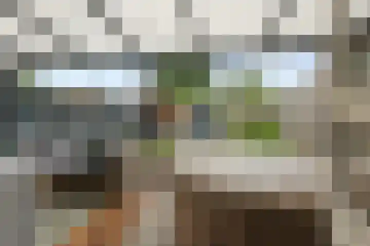 Sallandlaan 5 Veendam thumbnail 5