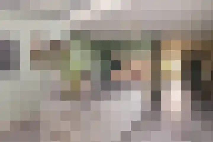 Sallandlaan 56 Eindhoven thumbnail 14