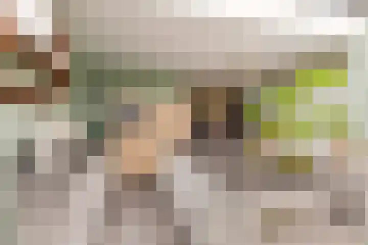 Sallandlaan 56 Eindhoven thumbnail 15