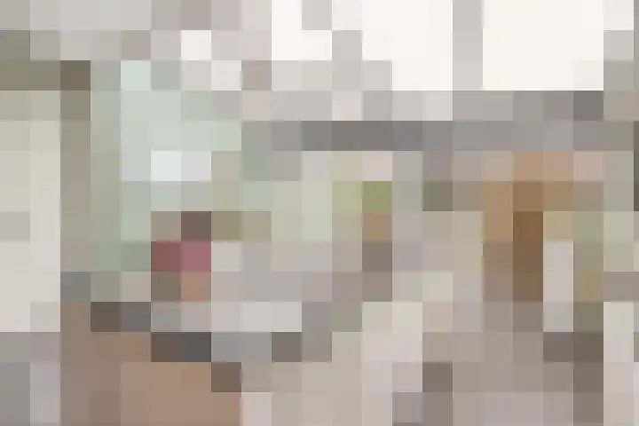 Sallandlaan 56 Eindhoven thumbnail 16