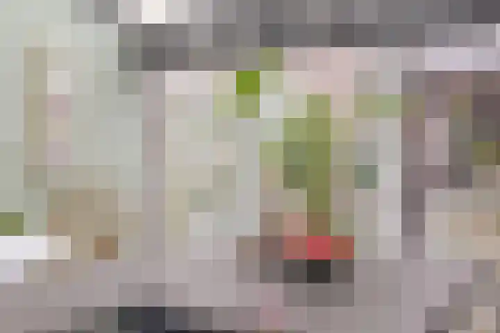 Sallandlaan 56 Eindhoven thumbnail 18