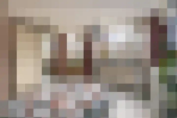 Sallandlaan 56 Eindhoven thumbnail 22